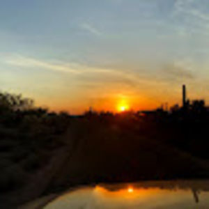 Meet your Posher, Dylan